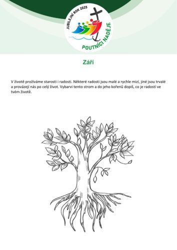 zari20253